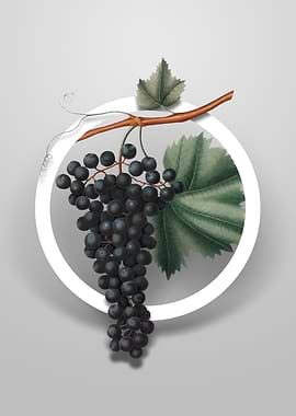 Berzemina Grape Flower Art