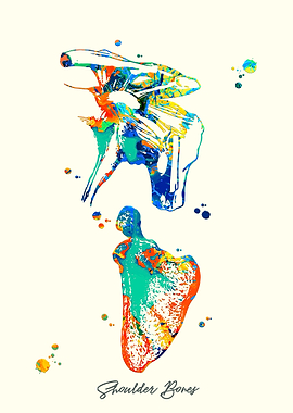 Shoulder Bones