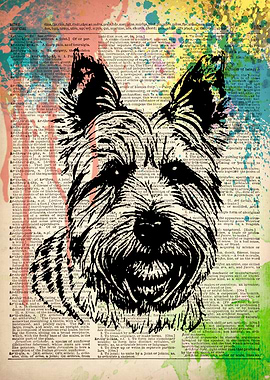 Cairn Terrier Dog art