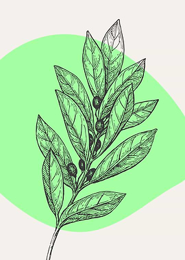 Botanic Minimalist