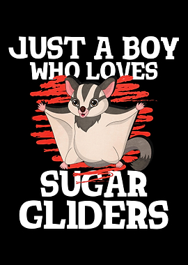 Sugar Gliders Boy Love