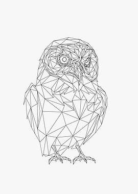 Owl Lowpoly Wireframe