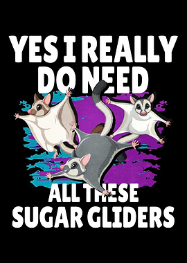 Sugar Gliders