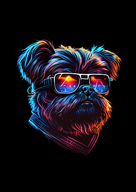 Brussels Griffon