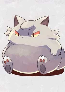 Chubby cat