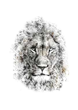 lion