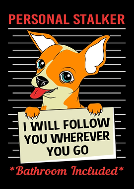 Personal Stalker Chihuahua
