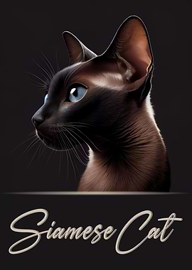 Siamese Cat