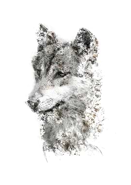 wolf