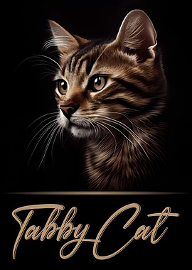 Adorable Tabby Cat