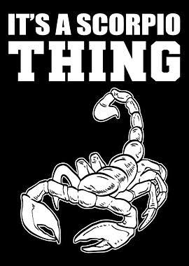 A Scorpio Thing Funny Pers