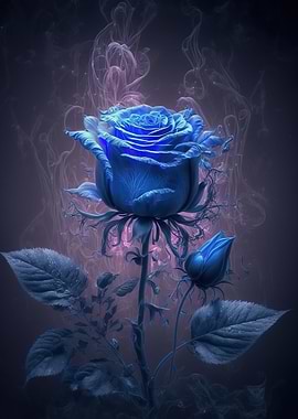 Blue Rose