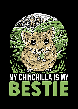 Chinchilla Lover