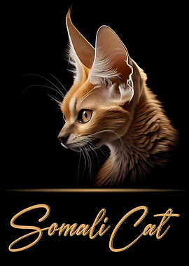 Somali Cat Portrait