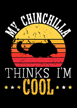 Chinchilla Lover