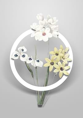 Vintage Corn Lily Flower