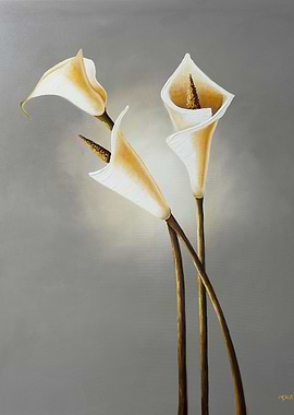 Three Lilies
