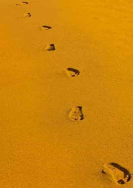 Summer on Golden Beach