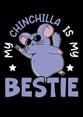 Chinchilla Lover