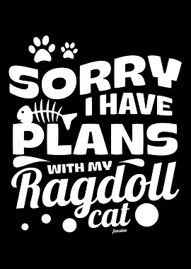 Ragdollkat Katzenmama Katz