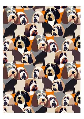 Tibetan Terrier Invasion