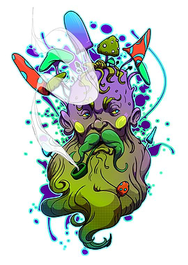 Mushroom Wizard