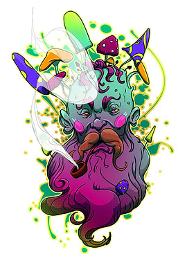 Mushroom Wizard