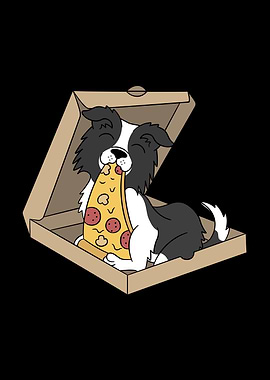 Border Collie Pizza