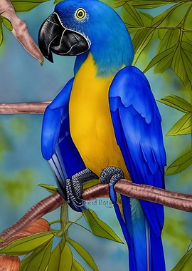 A blue macaw bird sitting