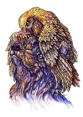 Sun Hawk and Night bear