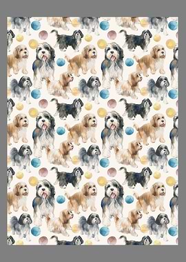 Tibetan terrier dog breed