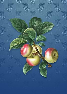 Apple on Bahama Blue