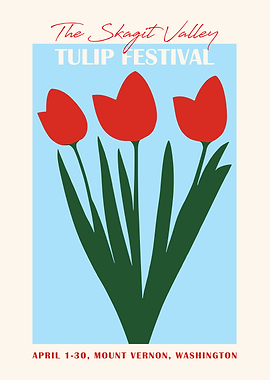 Tulip Festival Washington