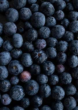 Fresh Blueberries