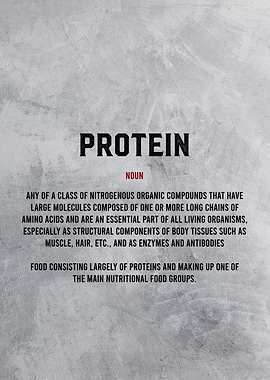 protein definition textart