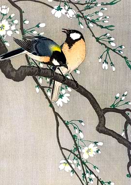 Great Tits on Branch