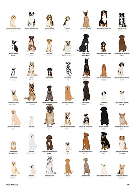 Dogs Illustration Chart