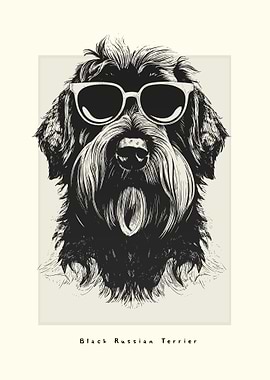 Black Russian Terrier Cool