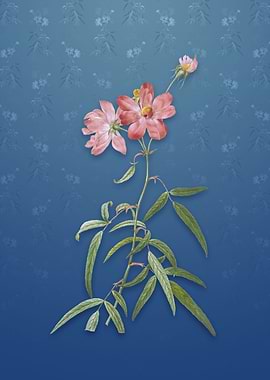 Vintage Peach Leaf Rose