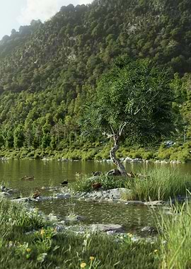 Old lonely tree summer