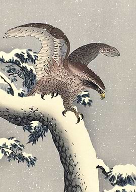Eagle on Snowy Pine Tree