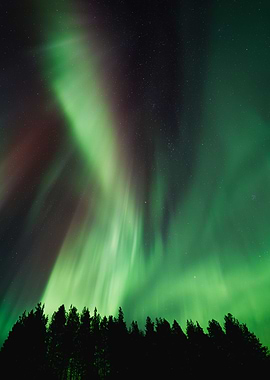 AURORA BOREALIS
