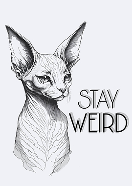 Funny Cat Stay Weird