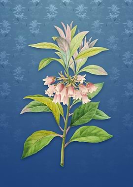 Chinese New Year Flower