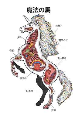Unicorn anatomy