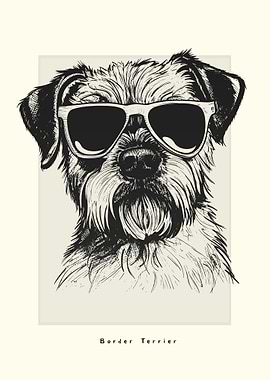 Border Terrier Sketch
