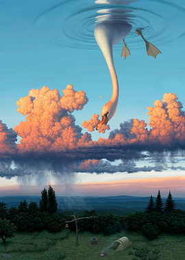 Foraging Wild Edibles