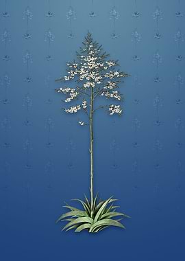 Vintage Giant Cabuya