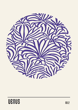 Venus No2