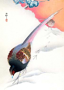 Pheasants in the Snow